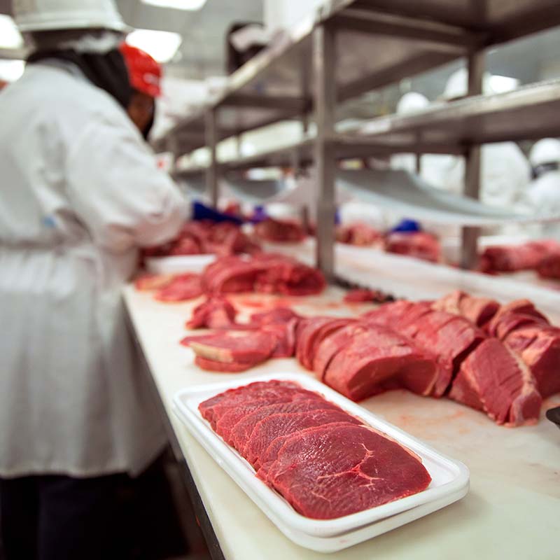 Food Handling Medicals